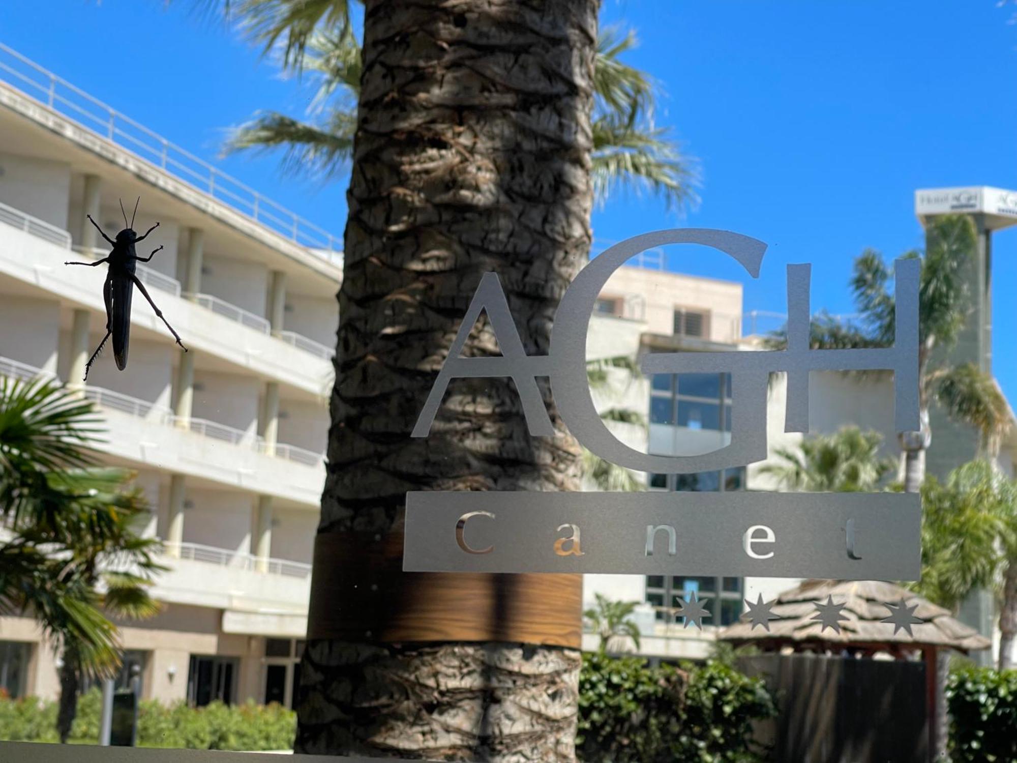 Agh Canet Canet d'En Berenguer Dış mekan fotoğraf