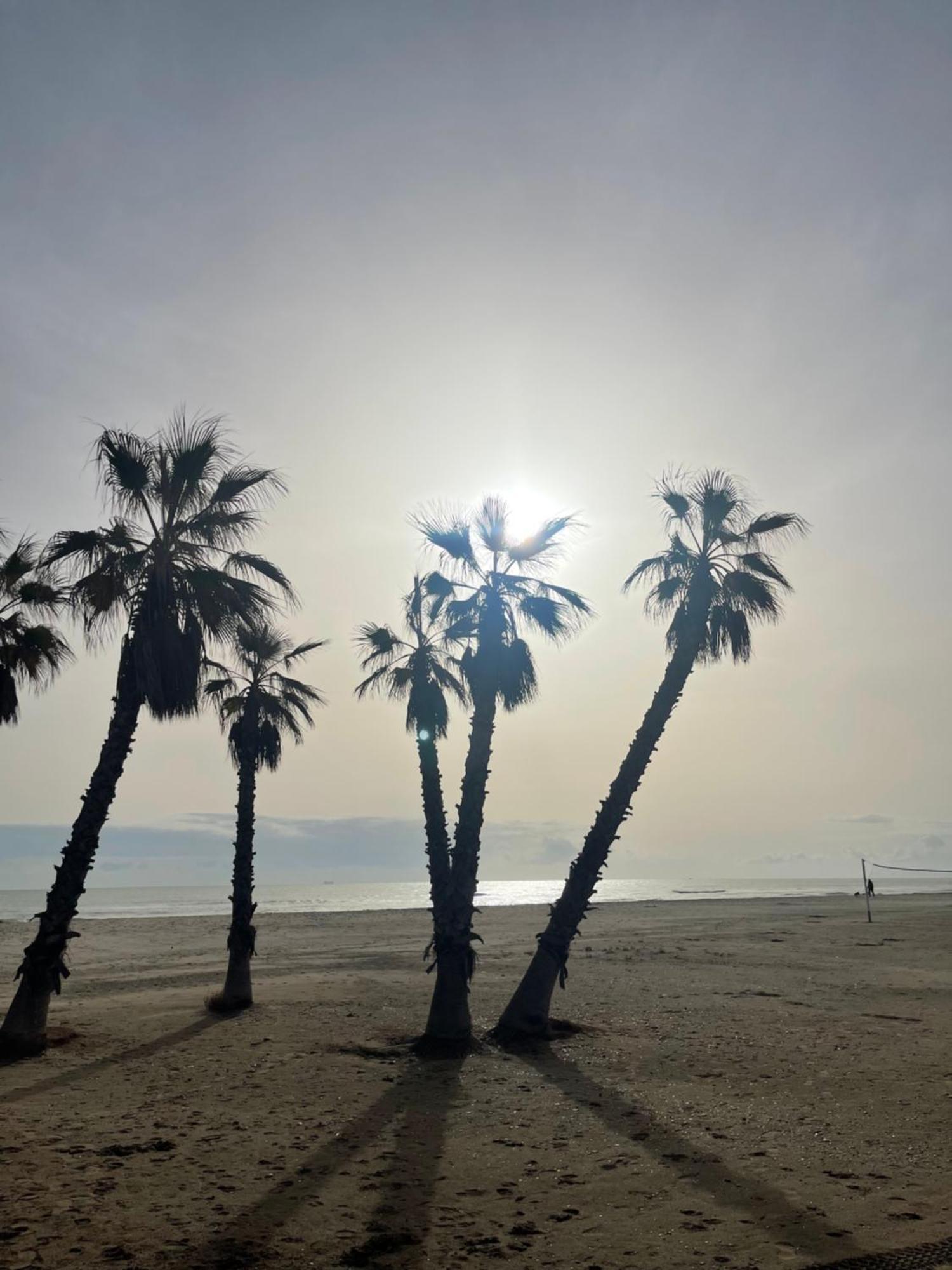 Agh Canet Canet d'En Berenguer Dış mekan fotoğraf